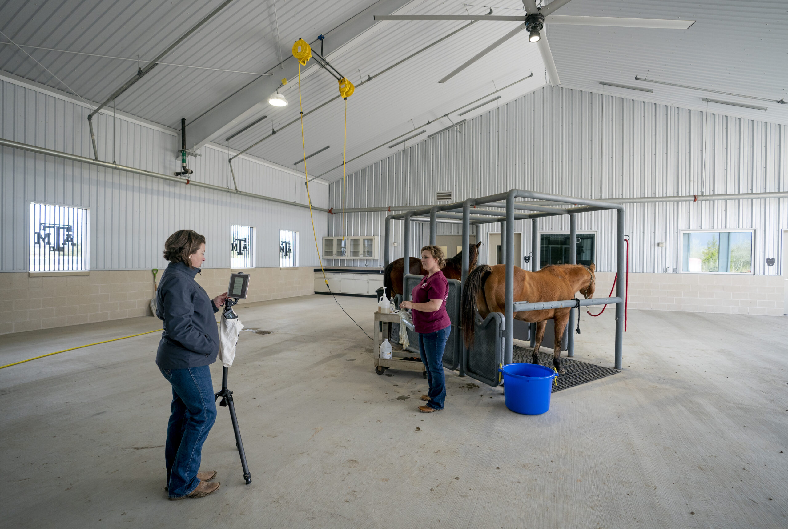 Woman with camera on tripod filming a horse reproduction teaching video